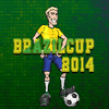 Copa do Brasil 2014