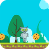 Kim Gato