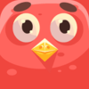 Sr. Flap