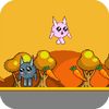 Coelhos 2