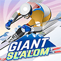 Slalom Gigante