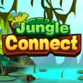 Conexão na Selva